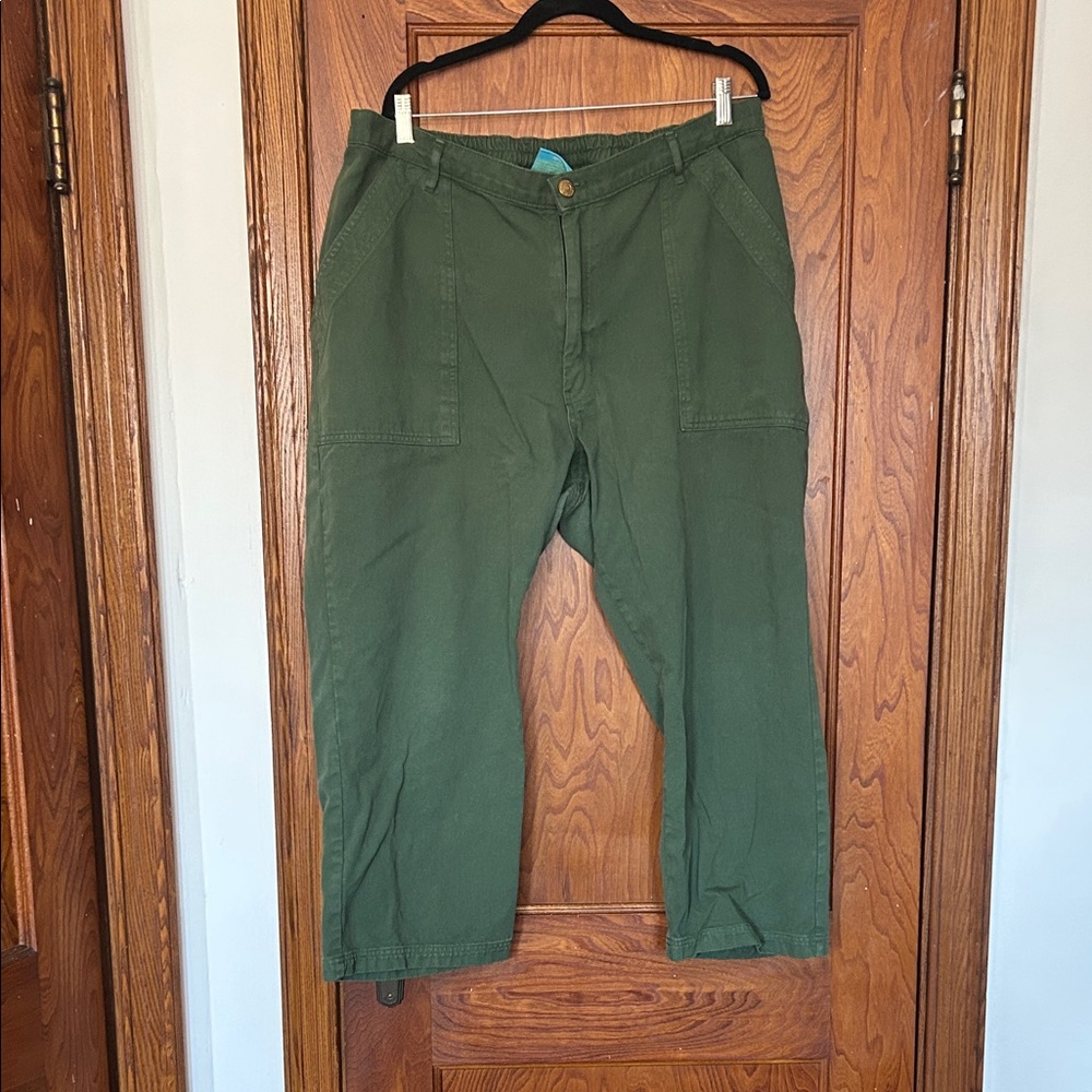 Big Bud Press Green Petite Work Pants
